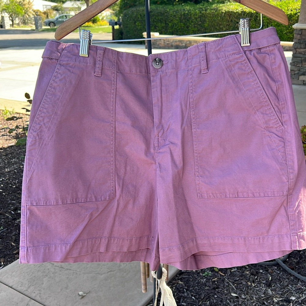 Beautiful shorts from cabi spring 2023.